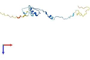 AlphaFold protein structure predicition of Human Recombinant PIERCE1 Protein, UniprotID Q5BN46