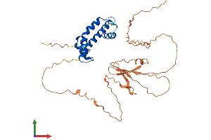 Protein Structure (PS) image for Nuclear Transcription Factor Y, gamma (NFYC) (AA 1-335) protein (His tag) (ABIN7556705)