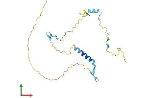 AlphaFold protein structure predicition of Human Recombinant FAM219B Protein, UniprotID Q5XKK7