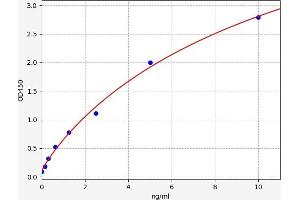 Pancreas Specific Transcription Factor, 1a (PTF1A) ELISA Kit