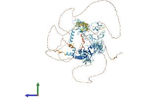 AlphaFold protein structure predicition of Mouse Recombinant Nfx1 Protein, UniprotID B1AY10