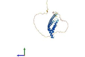 AlphaFold protein structure predicition of Human Recombinant MLX Protein, UniprotID Q9UH92