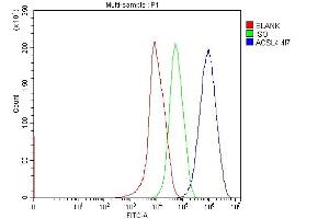 Flow Cytometry analysis of HepG2 cells using anti-FACL4/ACSL4 antibody (ABIN7602779).