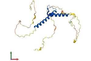 Protein Structure (PS) image for Basic Helix-Loop-Helix Family, Member A9 (BHLHA9) (AA 1-235) protein (His tag) (ABIN7552801)