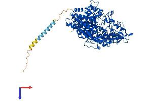 Protein Structure (PS) image for Folate Hydrolase (Prostate-Specific Membrane Antigen) 1 (FOLH1) (AA 1-752) protein (His tag) (ABIN7562315)