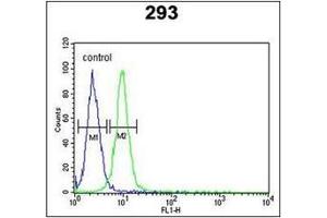 Flow Cytometric analysis of 293 cells (right histogram) using RPL18A Antibody (C-term) Cat. (RPL18A 抗体  (C-Term))
