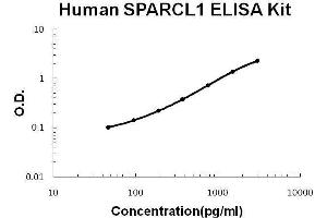 Human SPARCL1 PicoKine ELISA Kit standard curve (SPARCL1 ELISA 试剂盒)