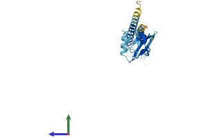 Protein Structure (PS) image for Proteasome (Prosome, Macropain) 26S Subunit, Non-ATPase, 9 (PSMD9) (AA 1-222) protein (His tag) (ABIN7560595)