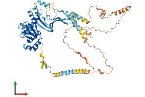 AlphaFold protein structure predicition of Human Recombinant CNBD2 Protein, UniprotID Q96M20