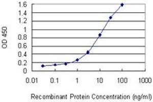 Detection limit for recombinant GST tagged PELP1 is 0. (PELP1 抗体  (AA 337-410))