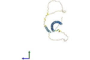 AlphaFold protein structure predicition of Mouse Recombinant Cavin3 Protein, UniprotID Q91VJ2