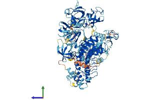 Protein Structure (PS) image for E3 ubiquitin-protein ligase MIB2 (MIB2) (AA 1-973) protein (His tag) (ABIN7564715)