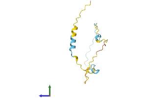 AlphaFold protein structure predicition of Human Recombinant LBH Protein, UniprotID Q53QV2 (LBH Protein (AA 1-105) (His tag))