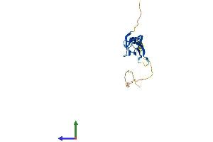 Protein Structure (PS) image for Nucleophosmin/nucleoplasmin 2 (NPM2) (AA 1-214) protein (His tag) (ABIN7549816)