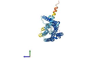 Protein Structure (PS) image for Olfactory Receptor, Family 7, Subfamily A, Member 5 (OR7A5) (AA 1-319) protein (His tag) (ABIN7550104)