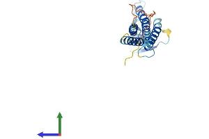 AlphaFold protein structure predicition of Human Recombinant CLDN6 Protein, UniprotID P56747 (Claudin 6 Protein (CLDN6) (AA 1-220) (His tag))