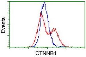 Flow Cytometry (FACS) image for anti-Catenin (Cadherin-Associated Protein), beta 1, 88kDa (CTNNB1) antibody (ABIN1496897) (CTNNB1 抗体)