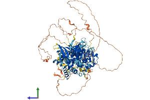 AlphaFold protein structure predicition of Human Recombinant PIK3R5 Protein, UniprotID Q8WYR1
