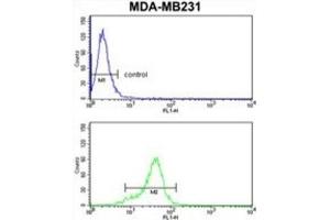 Flow Cytometry (FACS) image for anti-1-Acylglycerol-3-Phosphate O-Acyltransferase 4 (AGPAT4) antibody (ABIN3003878) (AGPAT4 抗体)