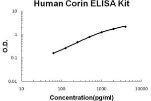 Human Corin PicoKine ELISA Kit standard curve (Corin ELISA 试剂盒)