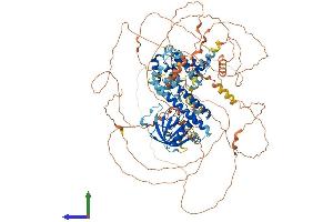 Protein Structure (PS) image for Pleckstrin and Sec7 Domain Protein (PSD) (AA 1-1024) protein (His tag) (ABIN7555083)