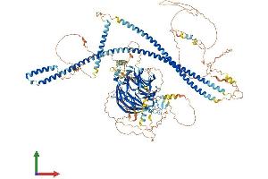Protein Structure (PS) image for Sperm Associated Antigen 9 (SPAG9) (AA 1-1321) protein (His tag) (ABIN7554276)