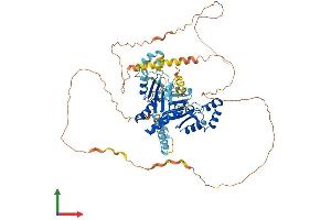 AlphaFold protein structure predicition of Human Recombinant NT5C1B Protein, UniprotID Q96P26