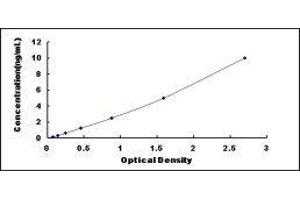 Phosphoinositide-3-Kinase, Class 2, alpha Polypeptide (PIK3C2A) ELISA Kit