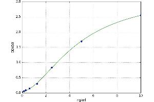 A typical standard curve (Occludin ELISA 试剂盒)