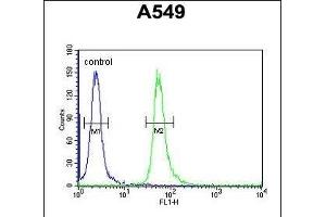 GNAT3 Antibody (Center) (ABIN654441 and ABIN2844175) flow cytometric analysis of A549 cells (right histogram) compared to a negative control cell (left histogram). (GNAT3 抗体  (AA 78-105))