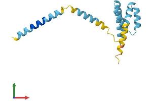 Protein Structure (PS) image for Mitochondrial Import Receptor Subunit TOM20 homolog (TOMM20) (AA 1-145) protein (His tag) (ABIN7561329)