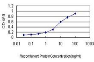 Detection limit for recombinant GST tagged GUCY2D is approximately 0. (GUCY2D 抗体  (AA 521-630))