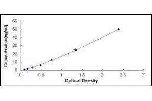 Typical standard curve (PPARG ELISA 试剂盒)