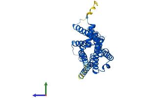 AlphaFold protein structure predicition of Human Recombinant ADORA1 Protein, UniprotID P30542