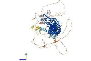 AlphaFold protein structure predicition of Mouse Recombinant Ppp6r2 Protein, UniprotID Q8R3Q2