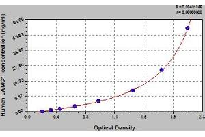 Typical Standard Curve (Laminin gamma 1 ELISA 试剂盒)