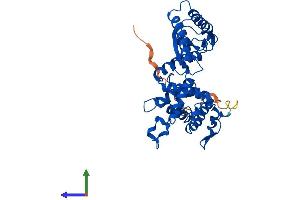 Protein Structure (PS) image for Interleukin Enhancer Binding Factor 2, 45kDa (ILF2) (AA 1-390) protein (His tag) (ABIN7548447)