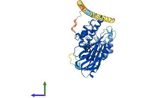 Protein Structure (PS) image for Mannosyl (Alpha-1,3-)-Glycoprotein beta-1,4-N-Acetylglucosaminyltransferase, Isozyme C (MGAT4C) (AA 1-478) protein (His tag) (ABIN7554541)