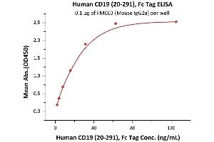 Immobilized FMC63 at 1 μg/mL (100 μL/well) can bind Human CD19 (20-291), Fc Tag, low endotoxin (Super affinity) (ABIN6253203,ABIN6253523) with a linear range of 1-31 ng/mL (QC tested). (CD19 Protein (AA 20-291) (Fc Tag))