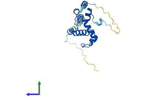 Protein Structure (PS) image for Nucleolar Protein 16 (NOP16) (AA 1-178) protein (His tag) (ABIN7549799)