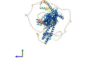Protein Structure (PS) image for Transient Receptor Potential Cation Channel, Subfamily C, Member 5 (TRPC5) (AA 1-975) protein (His tag) (ABIN7565141)