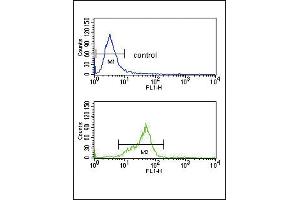 Flow Cytometry (FACS) image for anti-Guanine Nucleotide Binding Protein (G Protein), alpha Activating Activity Polypeptide O (GNAO1) (AA 291-320), (C-Term) antibody (ABIN653078)