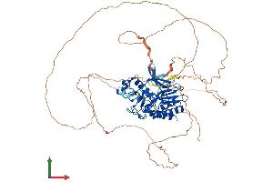 AlphaFold protein structure predicition of Human Recombinant ITPKC Protein, UniprotID Q96DU7