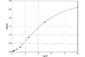 Protein Kinase C, alpha (PKCa) ELISA Kit