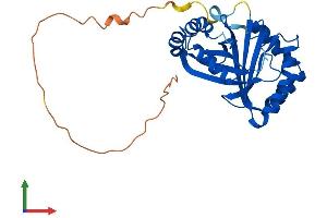 Protein Structure (PS) image for Glioblastoma Amplified Sequence (GBAS) (AA 1-286) protein (His tag) (ABIN7549858)