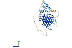 AlphaFold protein structure predicition of Human Recombinant ASPHD1 Protein, UniprotID Q5U4P2