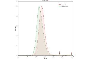 Detection of C4 in HepG2 human hepatocellular carcinoma cell line using Polyclonal Antibody to Complement Component 4 (C4) (Complement C4 抗体  (AA 1450-1723))