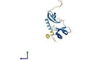 Protein Structure (PS) image for Chromobox Homolog 5 (CBX5) (AA 1-191) protein (His tag) (ABIN7553080)