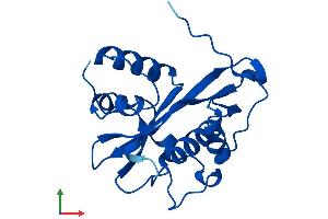 Protein Structure (PS) image for Glucosamine-Phosphate N-Acetyltransferase 1 (GNPNAT1) (AA 1-184) protein (His tag) (ABIN7561621)