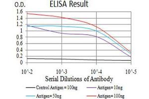 ELISA image for anti-Karyopherin alpha 2 (RAG Cohort 1, Importin alpha 1) (KPNA2) (AA 1-530) antibody (ABIN5542626)